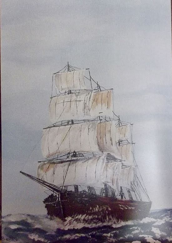 Wind in the Sails